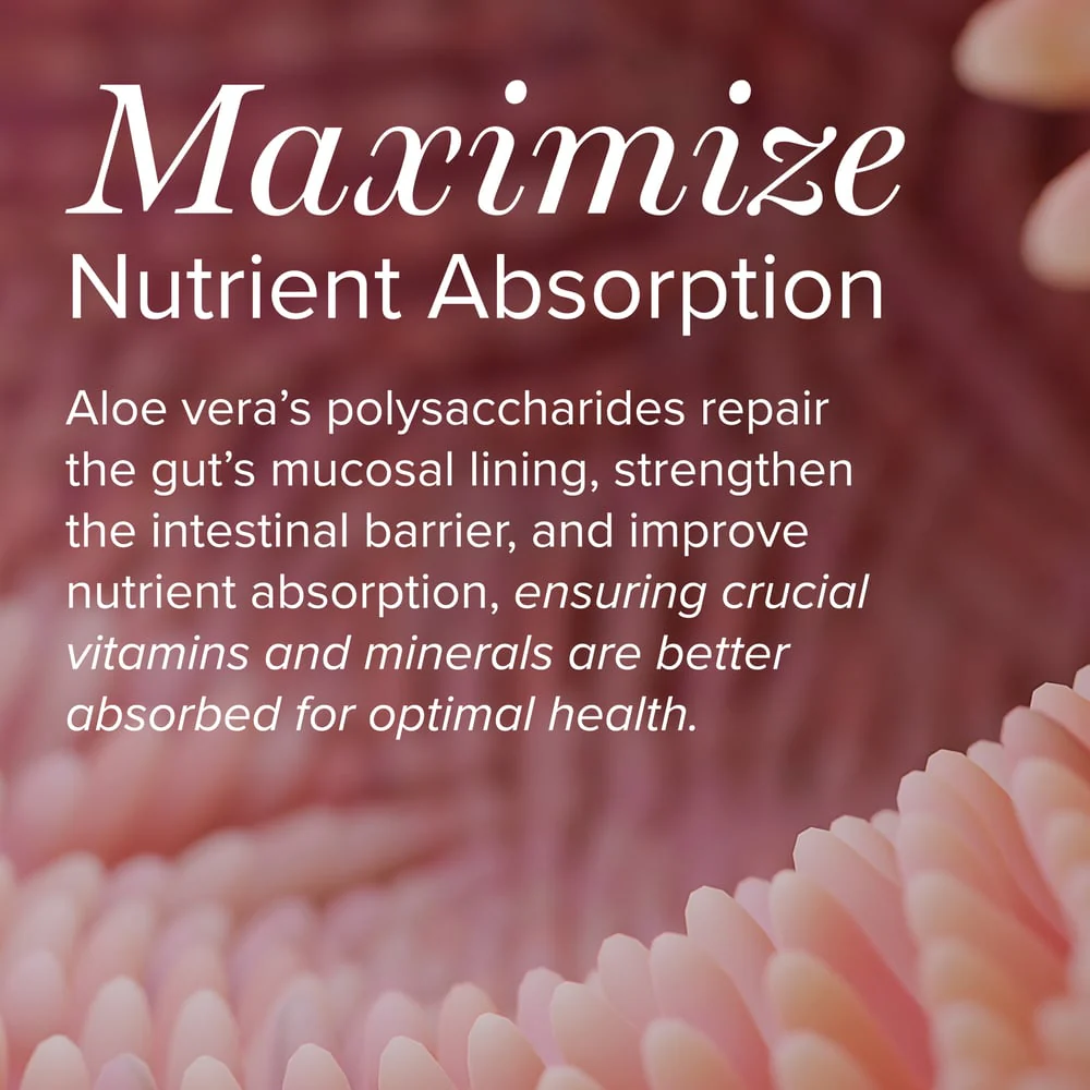 Aloe Vera - Image 3